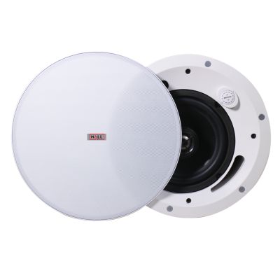 SPK-IC6 - Diffusore audio 40W da soffitto a incasso