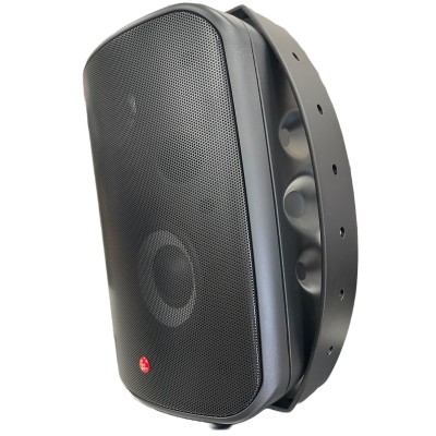 18002 - Diffusore Audio WWS1 Nero