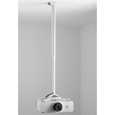 KITEC080135W