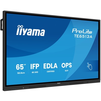 Prolite TE6513A-B1AG