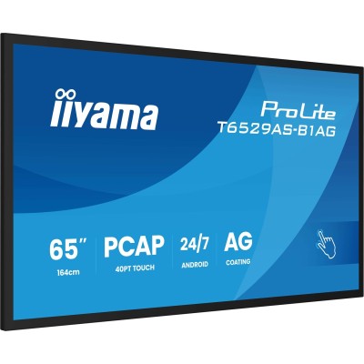 Prolite T6529AS-B1AG