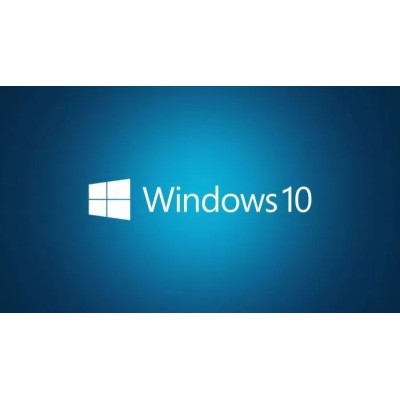 LSWIN10